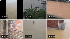 广西蛇患肆虐 民间2天内抓获逾两千条蛇