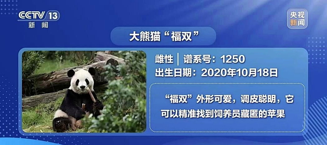 大陆国家主席习近平23日至25日对美国进行国是访问。他于24日在白宫宣布，两只大...