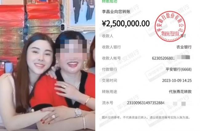 蔡天凤之母张燕花也不是好人 遭立案追逃 蔡天凤之母张燕花也不是好人 遭立案追逃